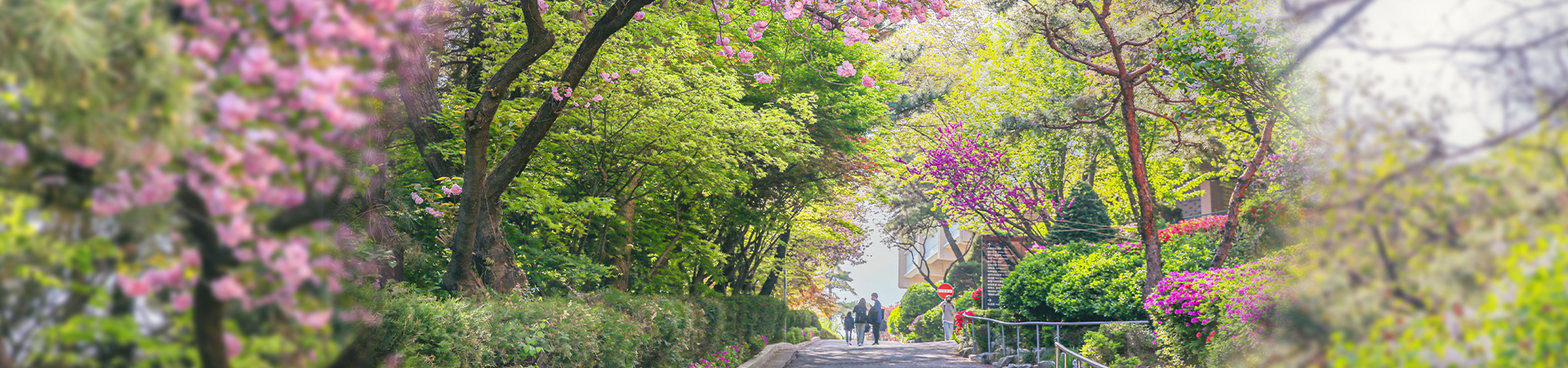 Korean Language Education MAINVISUAL